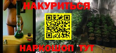 сатива Волгодонск