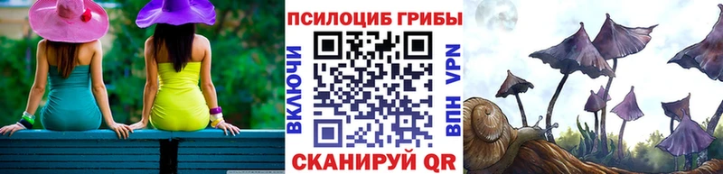 купить наркотик  Златоуст  Галлюциногенные грибы ЛСД 