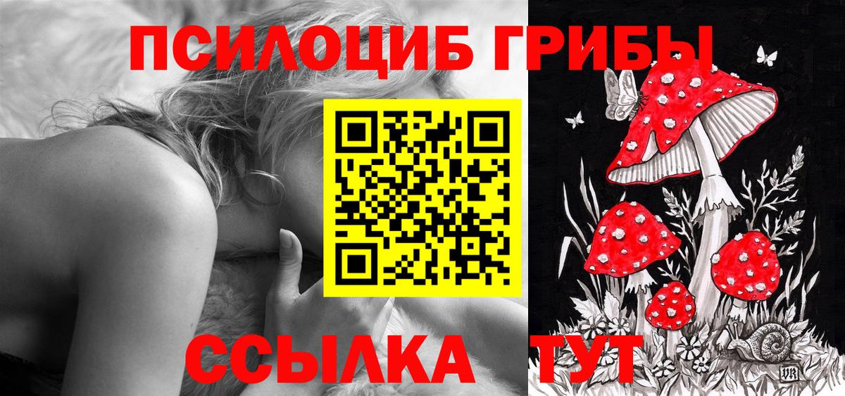 Псилоцибиновые грибы прущие грибы  Златоуст 