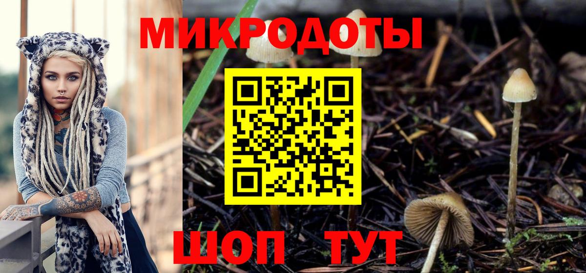 Псилоцибиновые грибы мицелий Златоуст