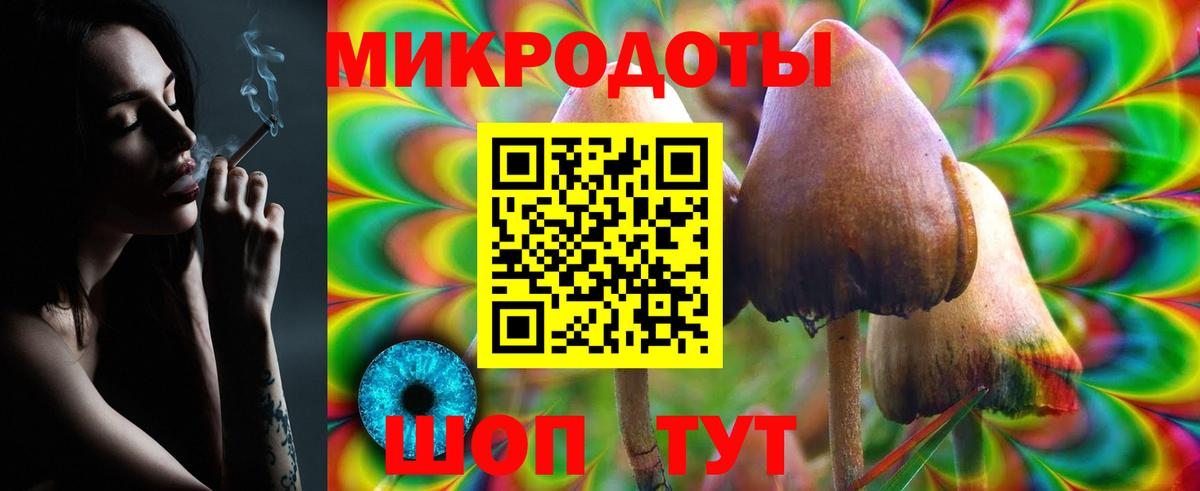Златоуст  Галлюциногенные грибы прущие грибы  Вход с VPN  Галлюциногенные грибы прущие грибы 