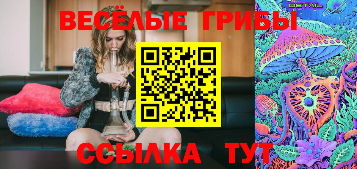 Галлюциногенные грибы Psilocybe Златоуст