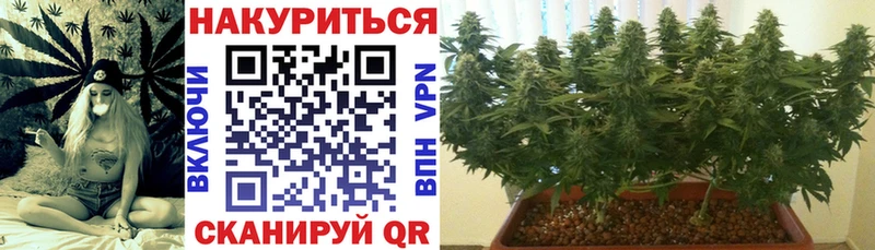 Канабис гибрид  кракен ссылки  darknet как зайти  Златоуст 